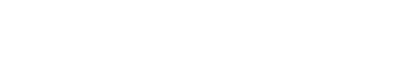Synth Ocean Logo